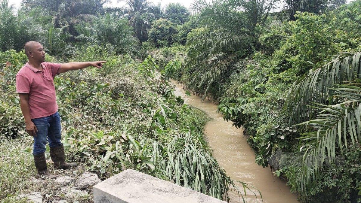 Jumad menunjukkan parit yang dijadikan syarikat perumahan untul mengalirkan air sehingga menyebabkan banjir kilat di Kampung Sungai Kembung semalam. Foto Samadi Ahmad