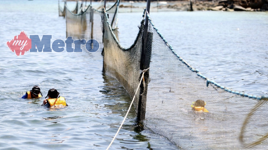 PUSAT peranginan Mari-Mari Pulau Sepanggar mengambil inisiatif memasang jaring perangkap sampah bagi memastikan pantai sentiasa terjaga dan bersih. FOTO Malai Rosmah Tuah