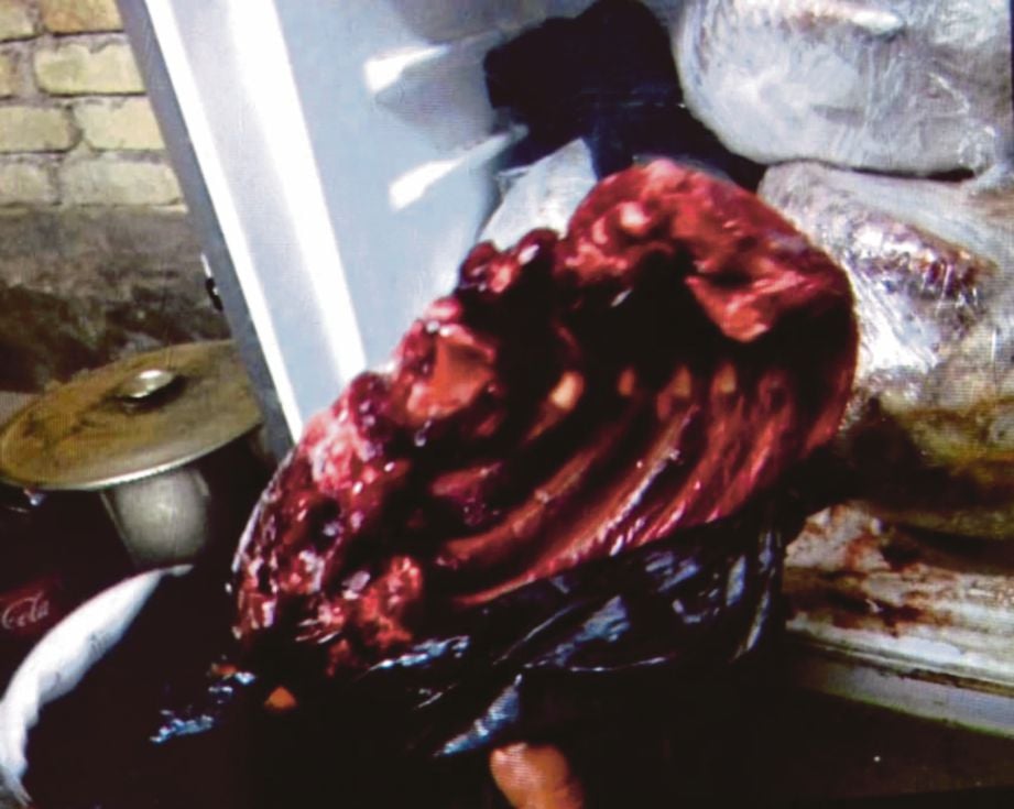 ANTARA daging hidupan liar yang ditemui sudah dilapah dan disimpan di dalam guni di sebuah premis di Pengkalan Hulu.
