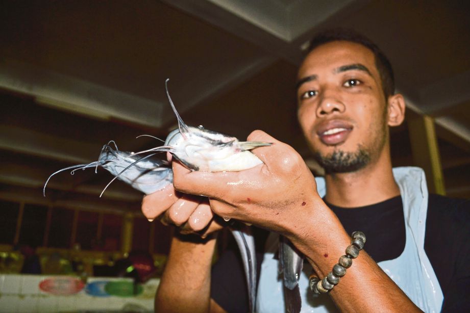  Sheikh Mustazim Sheikh Johari, 22, menunjukkan  ikan keli yang dijual dengan harga RM7 sekilogram  di Pasar Besar Kuantan.
