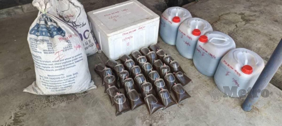 Polis merampas 33 bungkusan air ketum, 40 kg daun ketum dan 80 liter ubat batuk dalam sebuah rumah di Bukit Keteri, Padang Besar. FOTO IHSAN PDRM PERLIS