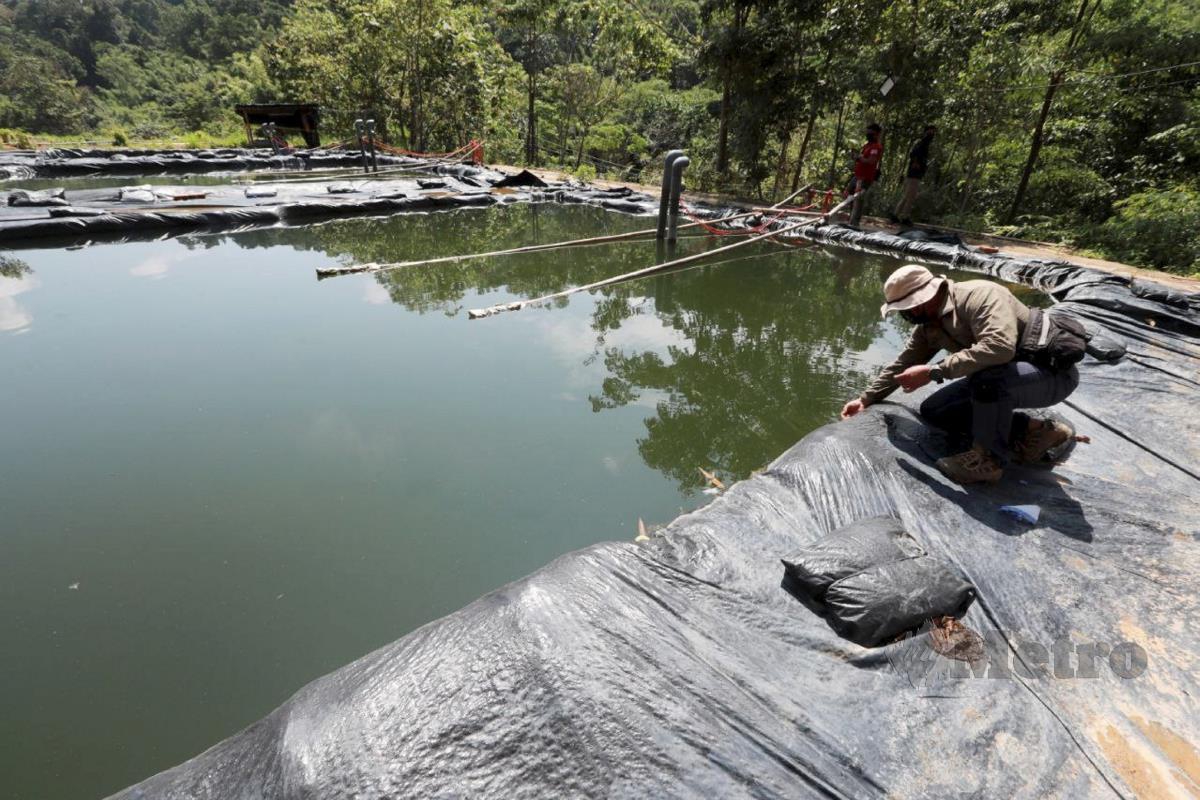 Beberapa kolam takungan yang mengandungi bahan kimia dipercayai untuk mengesan bahan galian di temui di Hutan Simpan Ulu Jelai. FOTO MOHD RAFI MAMAT