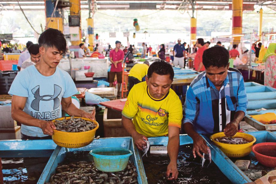 PEKERJA menyusun hasil laut untuk dijual di Pasar Borong Selangor.  