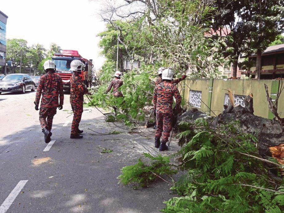 ANGGOTA bomba membersihkan lokasi kejadian kereta pasangan suami isteri dihempap pokok tumbang, semalam.