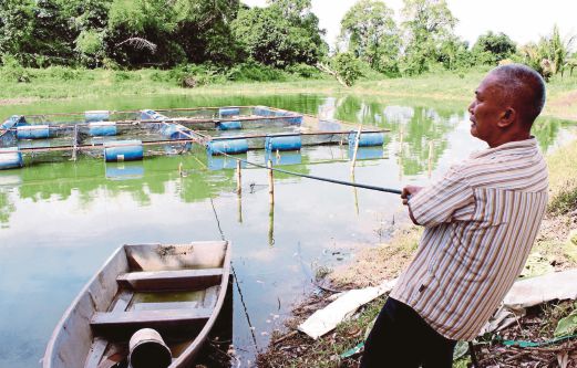 ABDULLAH melihat kolam ternakan miliknya di Bunut Payong.