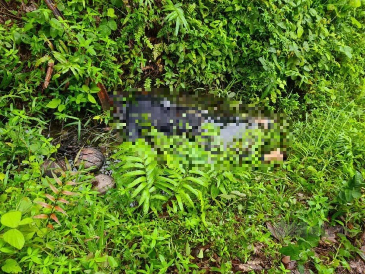 Mayat seorang remaja, Muhammad Irfan Mohd Rozuki, 19, ditemui penduduk kampung di dalam parit di Kampung Bechah Temalang, Wakaf Bharu, di sini pada jam 7 pagi tadi. FOTO IHSAN PEMBACA