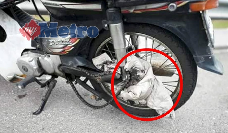 LELAKI meninggal dunia di tempat kejadian apabila motosikal yang ditungganginya hilang kawalan dan terbabas selepas jaket dipakainya tersangkut pada spoket motosikal di Lebuh Raya Butterworth-Kulim (BKE). FOTO Ihsan Pembaca