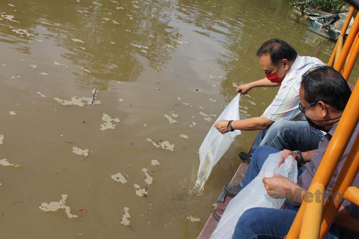 Datuk Seri Dr Awaluddin Said (baju cerah) melepaskan benih udang galah dan ikan di Sungai Timun Rembau semalam. FOTO MOHD AMIN JALIL