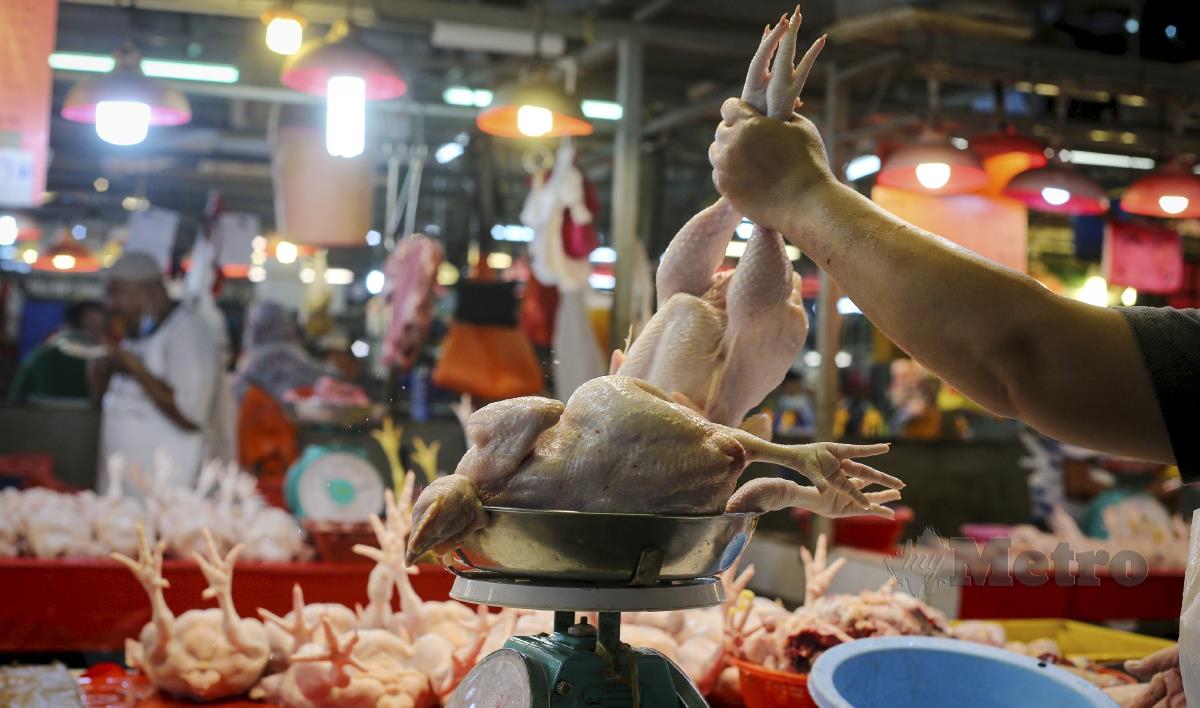 Sebahagian peniaga ayam di Pasar Chow Kit di Kuala Lumpur menjual ayam dengan harga RM9.50 sekilogram pada tinjauan harga ayam dan telur semalam. FOTO ASWADI ALIAS