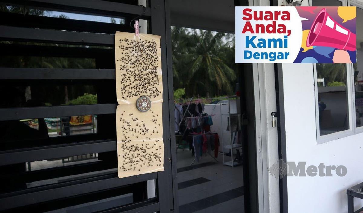 Rata-rata rumah penduduk Bandar Baharu Setia Awan Perdana, di sini terpaksa menutup pintu dan tingkap serta menampal pelekat lalat di pintu masuk rumah sebagai ikhtiar mengurangkan jumlah serangga kotor itu. FOTO MUHAMAD LOKMAN KHAIRI