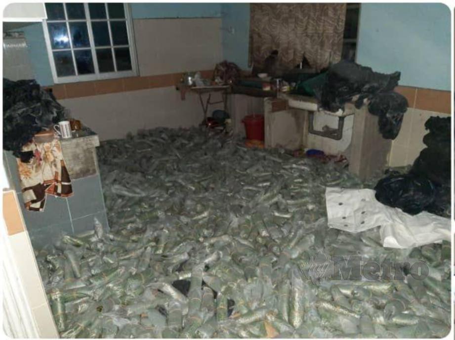 Daun ketum sebanyak 6,310 kg yang berjaya dirampas PGA Batalion 18 Pengkalan Hulu, Perak dalam serbuan di sebuah rumah. FOTO IHSAN PGA