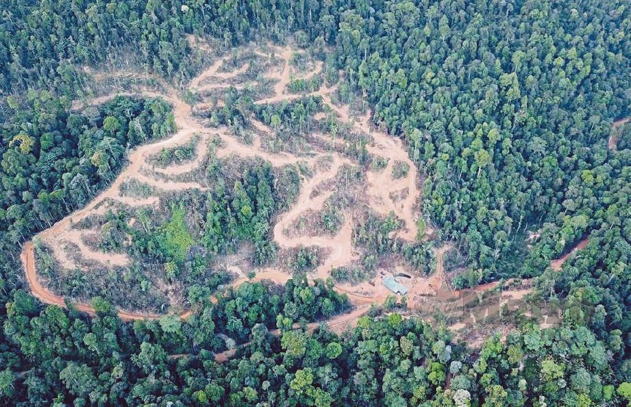 SEBAHAGIAN kawasan hutan di lereng bukit Banjaran Kledang didakwa dimusnahkan dan dieksploitasi. 