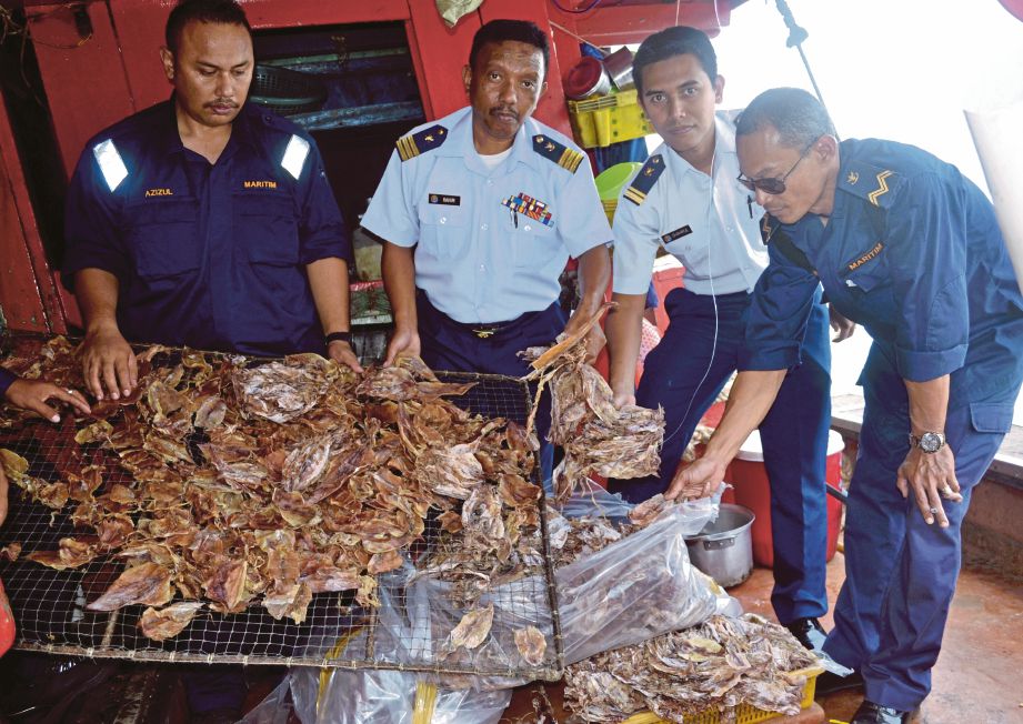 PENGARAH DM 8 Pahang Komander Maritim Rahim Ramli (dua dari kiri) menunjukan sotong yang sudah dikeringkan hasil tangkapan nelayan asing yang menceroboh perairan negara.
