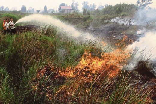 SEKUMPULAN petugas berusaha memadamkan kebakaran di sebuah ladang di Banyuasin, Sumatera Selatan, semalam. 
