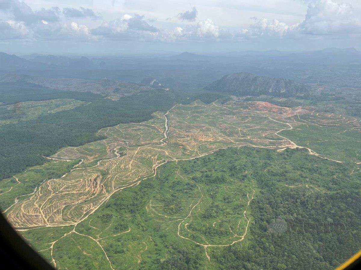 Pemandangan dari udara kawasan hutan di daerah ini yang didakwa diteroka secara tidak terkawal oleh Jaringan Kampung Orang Asli Kelantan(JKOAK). FOTO Paya Linda Yahya 