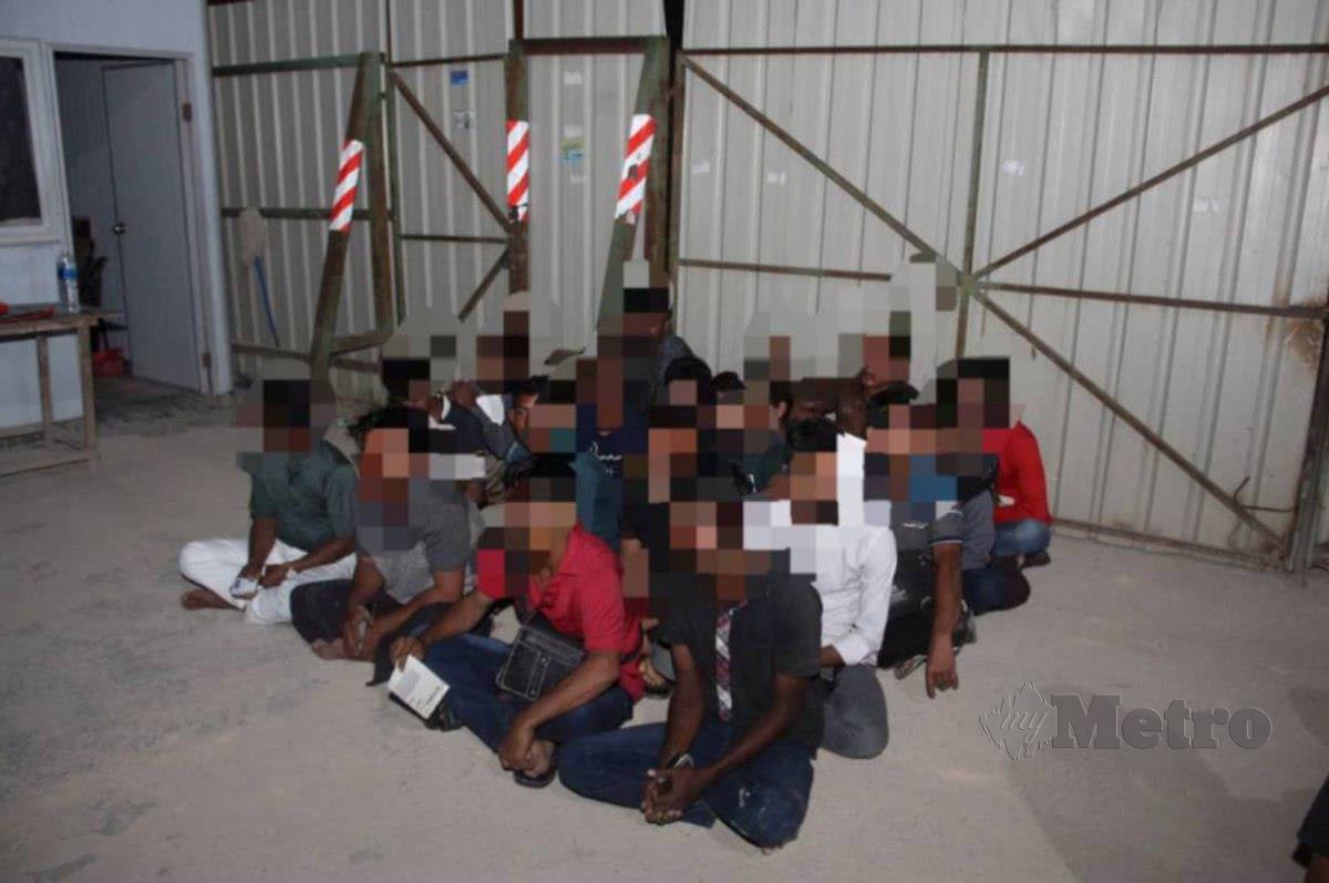 Seramai 195 pendatang asing tanpa izin (Pati) berjaya ditahan selepas kontena dalam ladang kelapa sawit yang dijadikan tempat tinggal mereka diserbu Jabatan Imigresen Malaysia (JIM) Negeri Johor, semalam. FOTO JABATAN IMIGRESEN NEGERI JOHOR