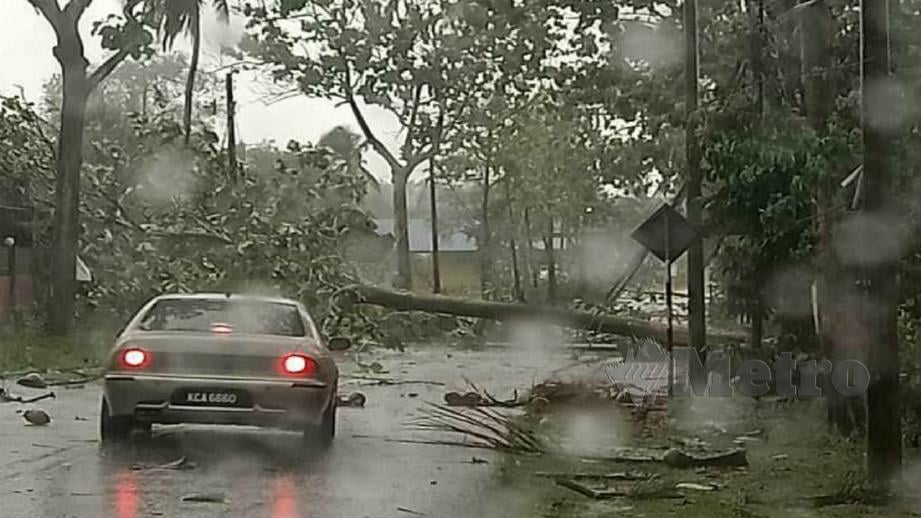 POKOK tumbang akibat ribut di Jalan Makam Mahsuri, Langkawi. FOTO ihsan JBPM