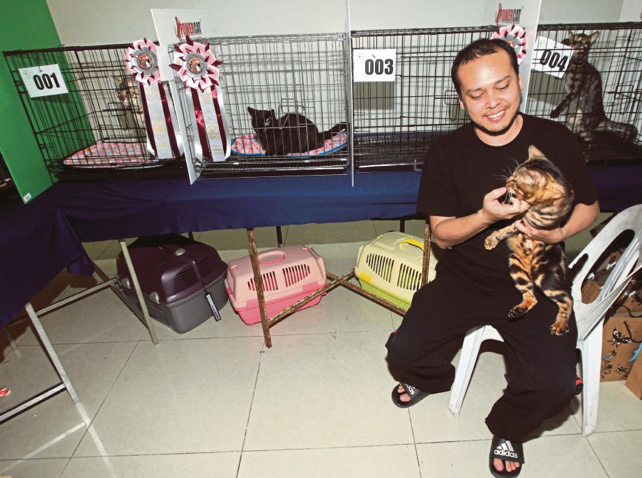 WAN Mohd Firdaus   bersama Kaka pada pertandingan Liga Kucing Pantai Timur. 