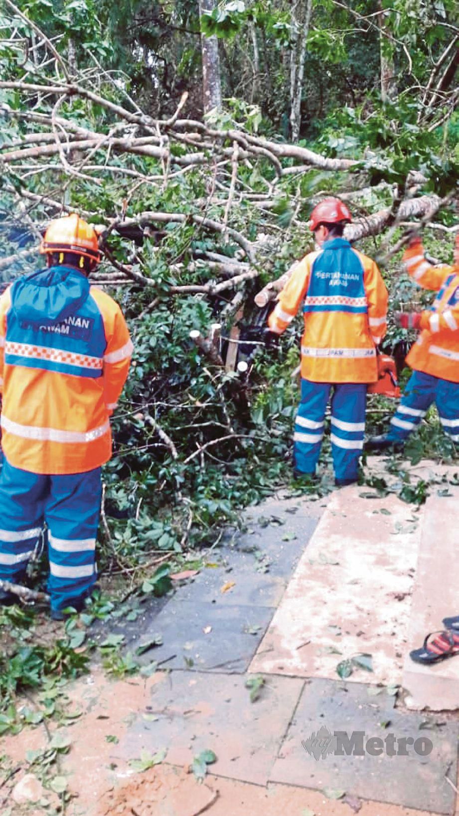 ANGGOTA APM memotong dahan pokok tumbang selepas dilanda ribut di Kampung Ulu Atok.
