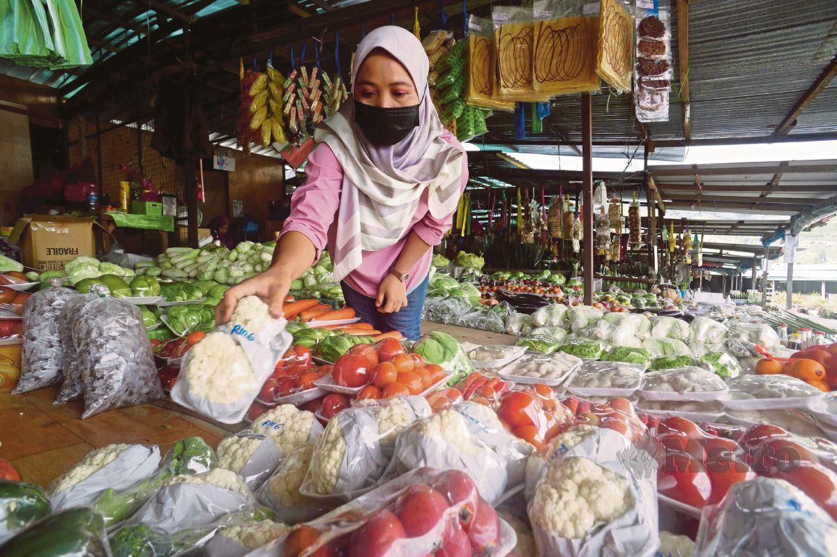 PENIAGA sayur, Siti Norliza Gilon, 28, menyusun sayur-sayuran di gerainya di pekan Kundasang, semalam.