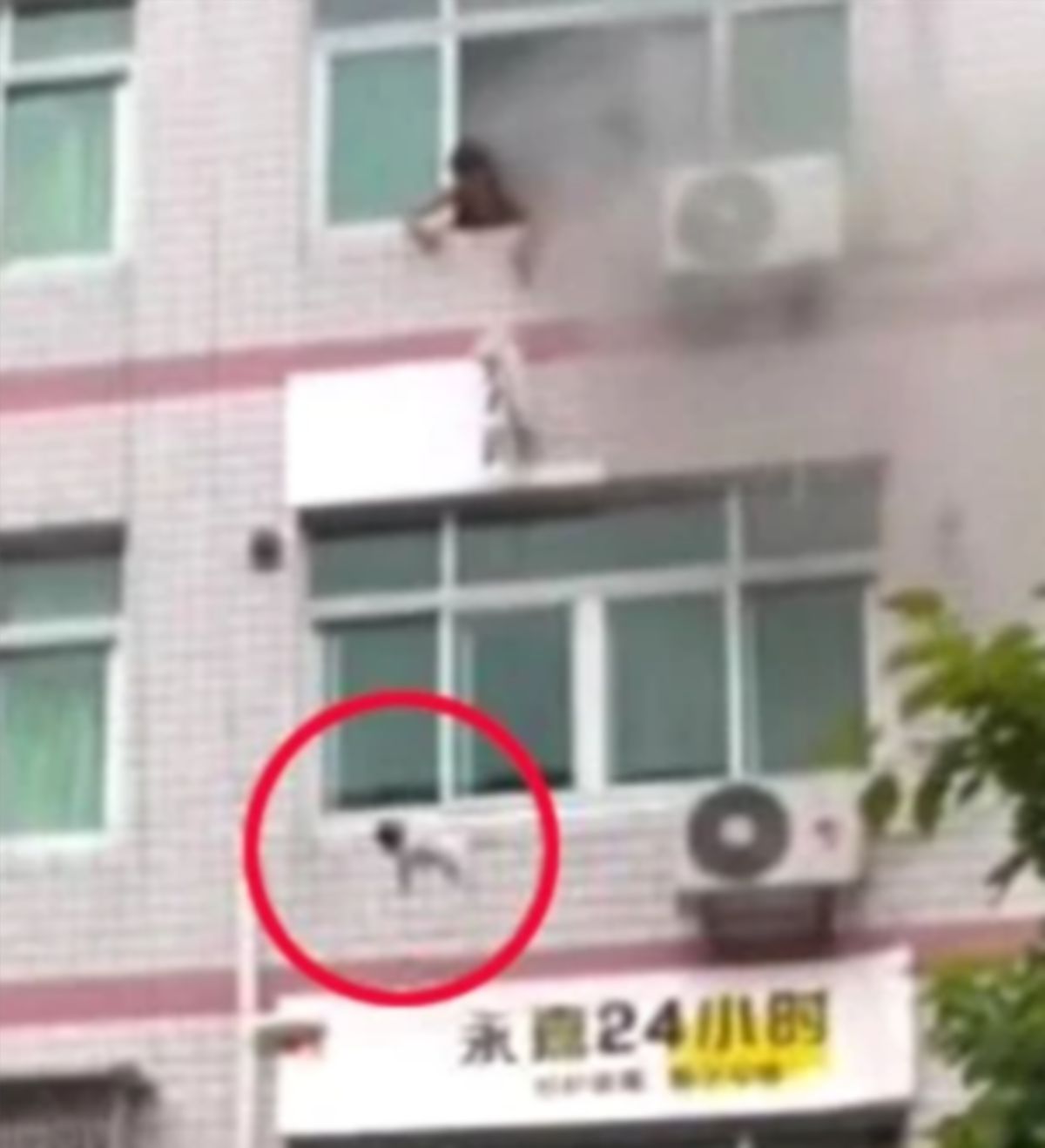 WANITA itu mencampakkan bayinya ke bawah bangunan. FOTO Weibo