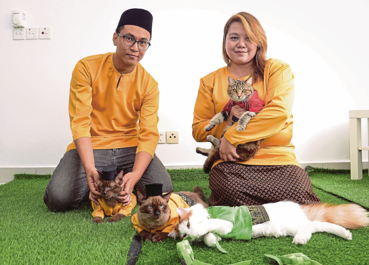 MOHAMMAD Affan dan Raja Nur Alya bersama kucing yang dipakaikan busana tradisional.