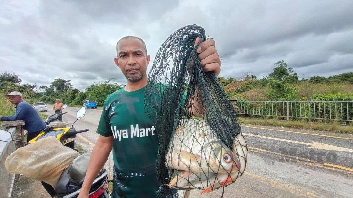 Azmi Mat Yatim, 49, menunjukkan antara ikan darat yang diperoleh hasil menjala ikan di Sungai Lachang, di sini, hari ini. FOTO SYAHERAH MUSTAFA