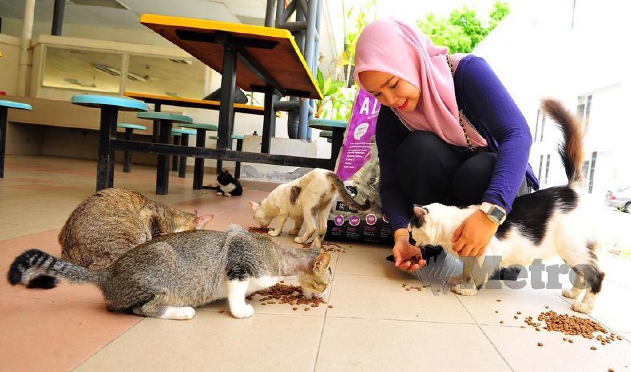 penuntut UUM memberi makanan kepada kucing terbiar dalam kampus sepanjang tempoh PKP. FOTO ihsan UUM