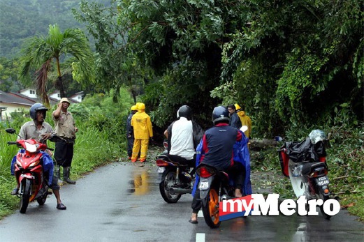 ORANG ramai terperangkap berikutan beberapa pokok tumbang di Kampung Pinang Lirai ketika hujan lebat beserta angin kencang. FOTO Ramdzan Masiam