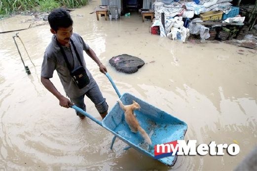 ABDUL Halim Awang, 32 menyelamatkan kucing perliharan yang terkerangkap ketika banjir kilat melanda Kampung Pinang Lirai. FOTO Ramdzan Masiam 