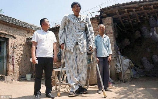 XU Fuhai (tengah) mungkin lelaki paling tinggi di China ketika ini.
