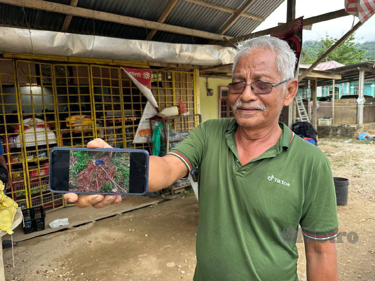 Penduduk kampung menunjukkan gambar yang tular kejadian pekerja ladang yang dibaham harimau belang, di Kampung Kuala Tol, di sini, hari ini. FOTO Paya Linda Yahya