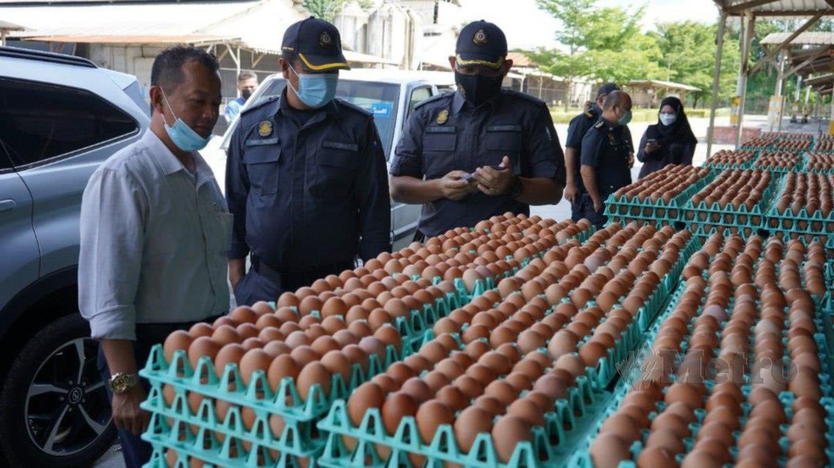 Pegawai Penguatkuasa Kementerian Perdagangan Dalam Negeri dan Kos Sara Hidup (KPDNKSH) Negeri Sembilan menjalankan pemeriksaan telur di sekitar negeri ini. FOTO Ihsan KPDNKSH