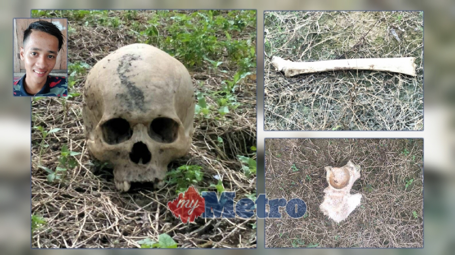 TENGKORAK dan tulang yang ditemui di kebun kelapa sawit Kampung Staponal, Batu Jong, Kuala Krai. Gambar kecil, Muhammad Aiman. FOTO Ihsan PDRM, Siti Nadzirah Che Mud