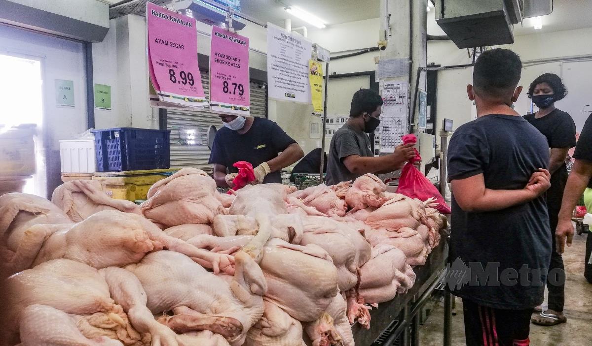 Ayam segar dijual pada harga RM8.99 sekilogram di pasar raya di Bandar Tasik Puteri. FOTO FARIZ ISWADI ISMAIL