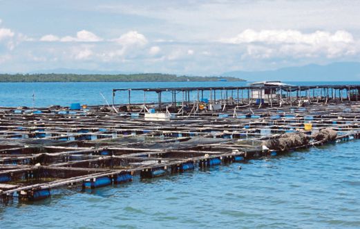 AKTIVITI ternakan ikan dalam sangkar perlahan berikutan beberapa siri penculikan di Sabah.