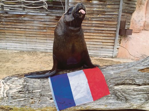 WATSON bersama bendera Perancis.