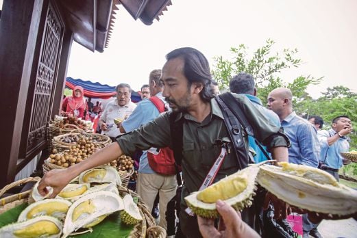  TERDAPAT banyak pilihan buah-buahan  di Fiesta Buah Kuala Lumpur 2015.