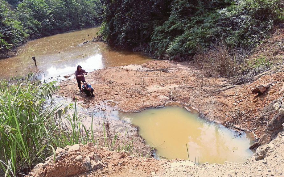  Anak Sungai Jelai iaitu Sungai Bunoh antara yang terjejas  akibat kegiatan pembalakan Mukim Cheka Satu berdekatan Kampung Gemunchor, Lipis. 