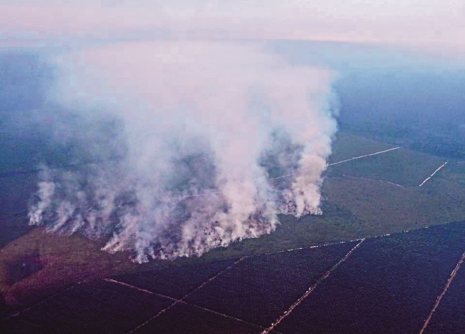 GAMBAR menunjukkan kebakaran hutan yang dikesan di Batu Panjang di daerah Rupat di Bengkalis, Riau. - Agensi 