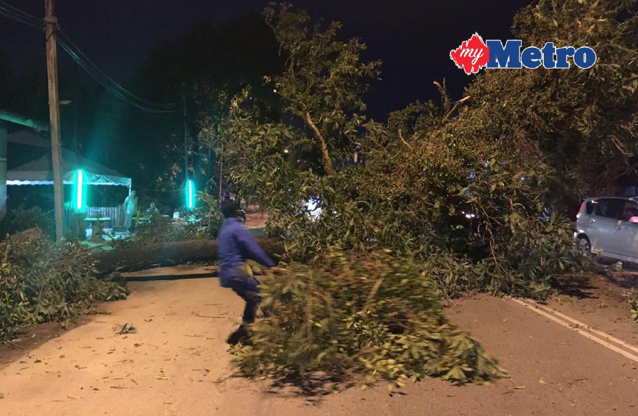 Anggota APM membersihkan pokok tumbang di Jalan Hospital, Berek 12. FOTO ihsan pembaca