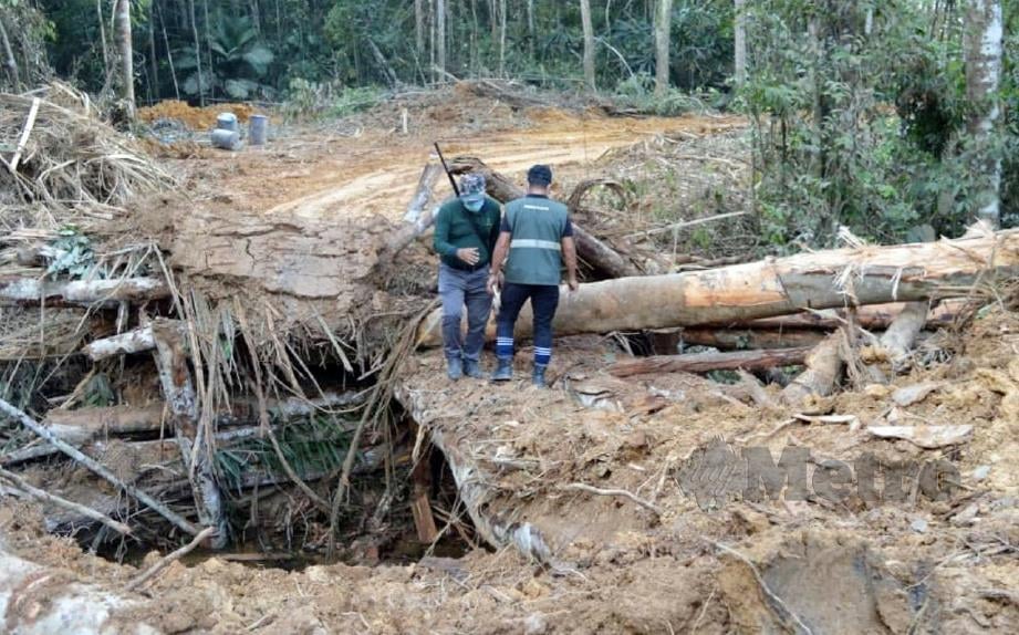 JALAN ditutup bagi mengelak Unit Penguatkuasa Pejabat Hutan Daerah (PHD) Lipis membuat pemeriksaan  dalam Hutan Ulu Jelai. FOTO Mohd Rafi Mamat