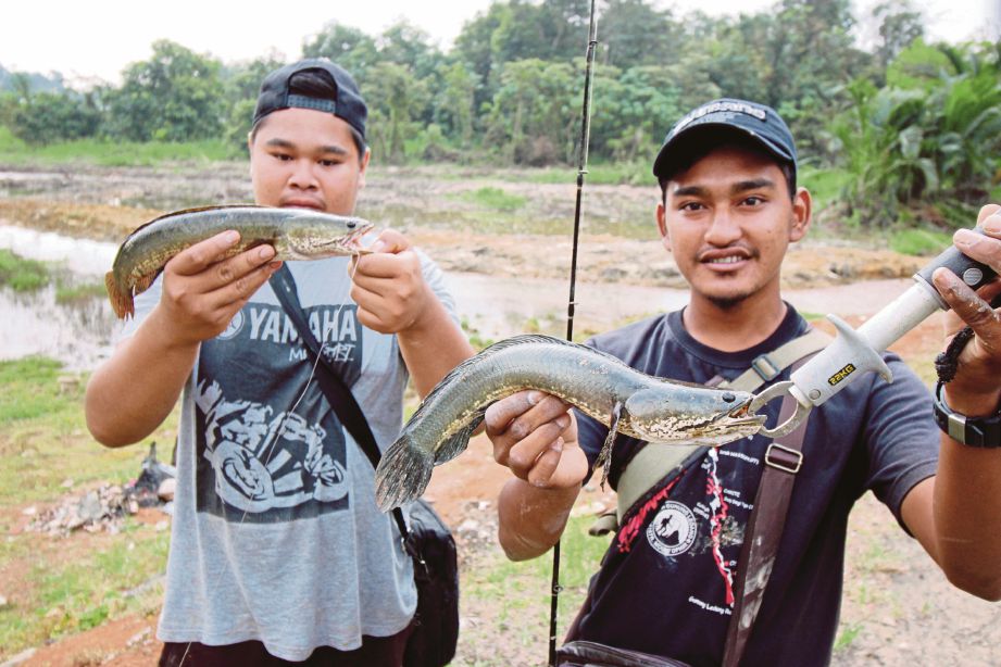 FAIZAL (kiri) dan Izzuddin  mengambil kesempatan memancing pelbagai jenis ikan air tawar yang terperangkap.