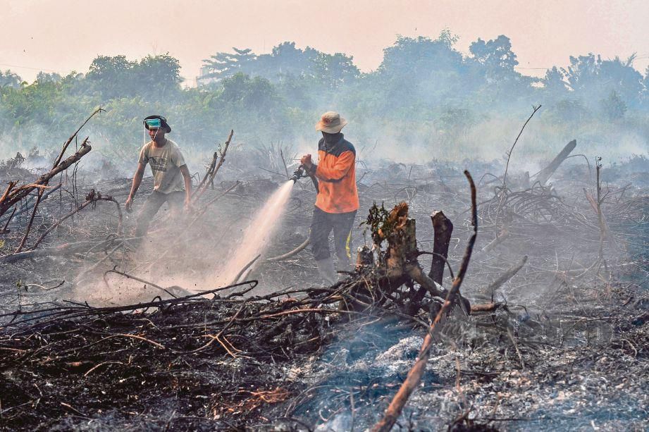 KAWASAN perladangan sawit di Pekanbaru, Riau terus terbakar.