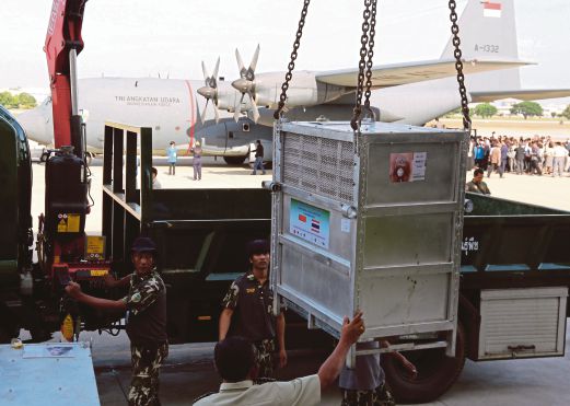 PETUGAS mengangkat kurungan yang mengandungi orang utan untuk dipindahkan ke pesawat Indonesia bagi dihantar pulang.