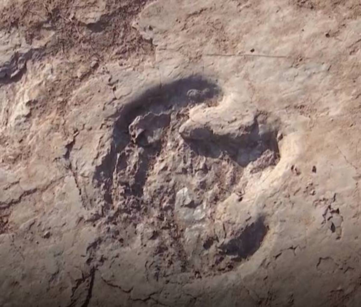 FOSIL tapak kaki dinosaur. FOTO Agensi 