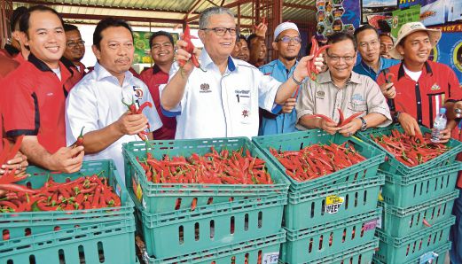   Badruddin (tengah) menunjukkan  cili hasil tanaman  pengusaha  pada lawatan kerja ke Pusat Pengumpulan Hasil Pertanian Kuala Langat di Telok Panglima Garang. 