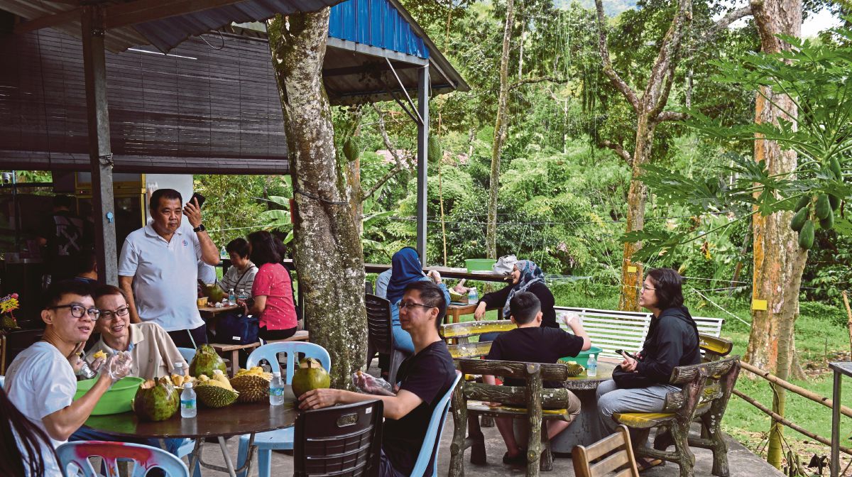 PEMINAT durian menikmati raja buah di Wong Durian House di Sungai Pinang, Balik Pulau. FOTO BERNAMA