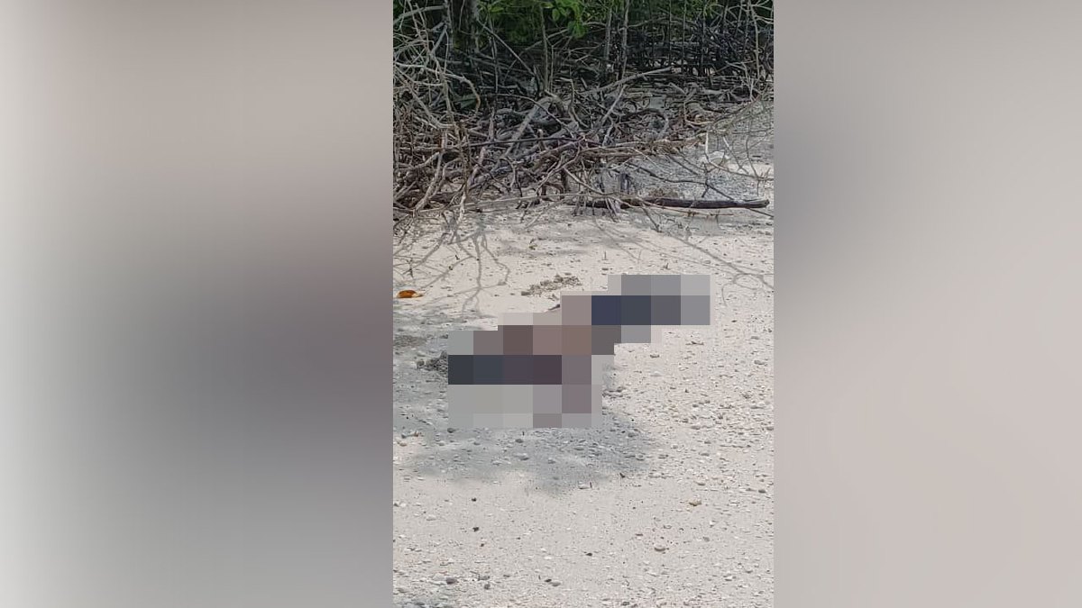 MAYAT lelaki ditemui terdampar di Pantai Siput Bumi Hijau. FOTO ihsan pembaca