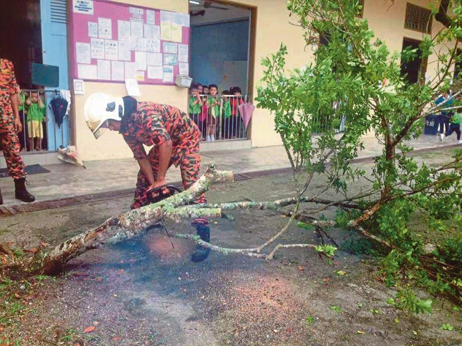 ANGGOTA bomba memotong pokok limau yang tumbang akibat ribut.